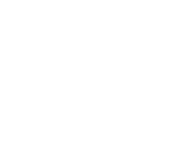 Tiger Logo