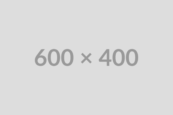 Vulnerability Scanner